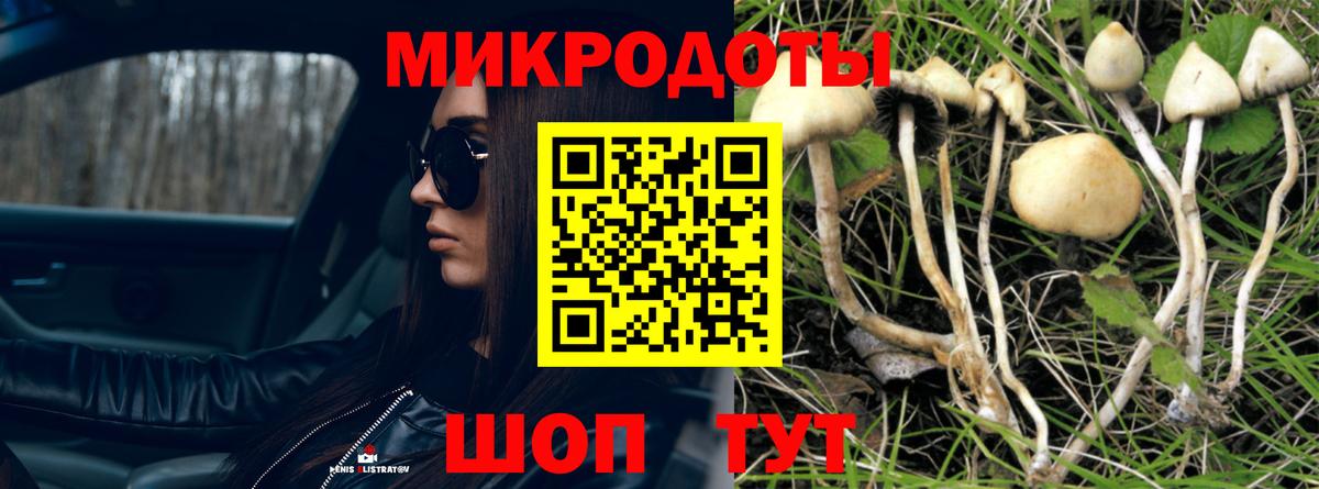 Галлюциногенные грибы прущие грибы  Галлюциногенные грибы прущие грибы  Калуга  Вход с VPN 